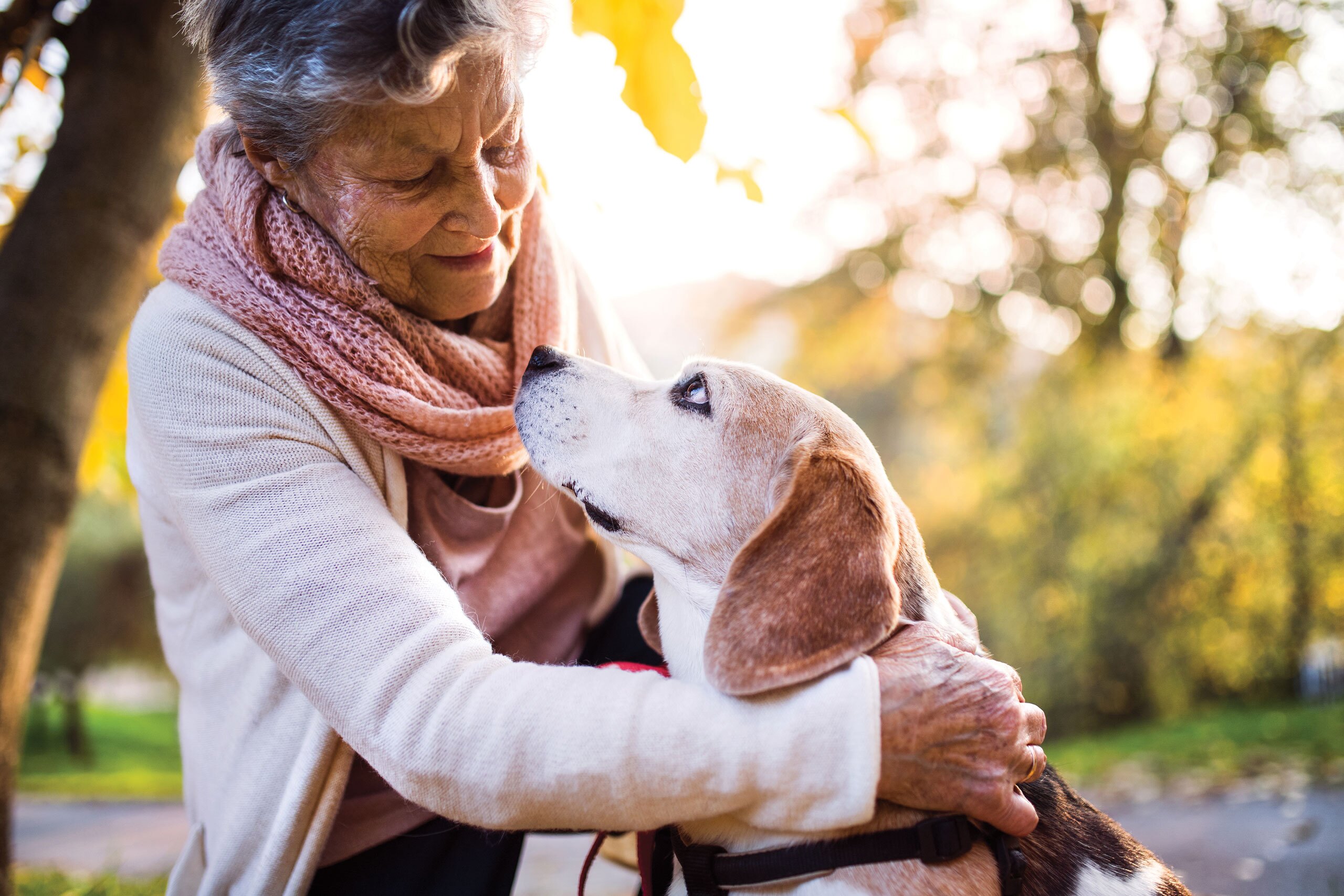 An elderly woman with dog in autumn nature.