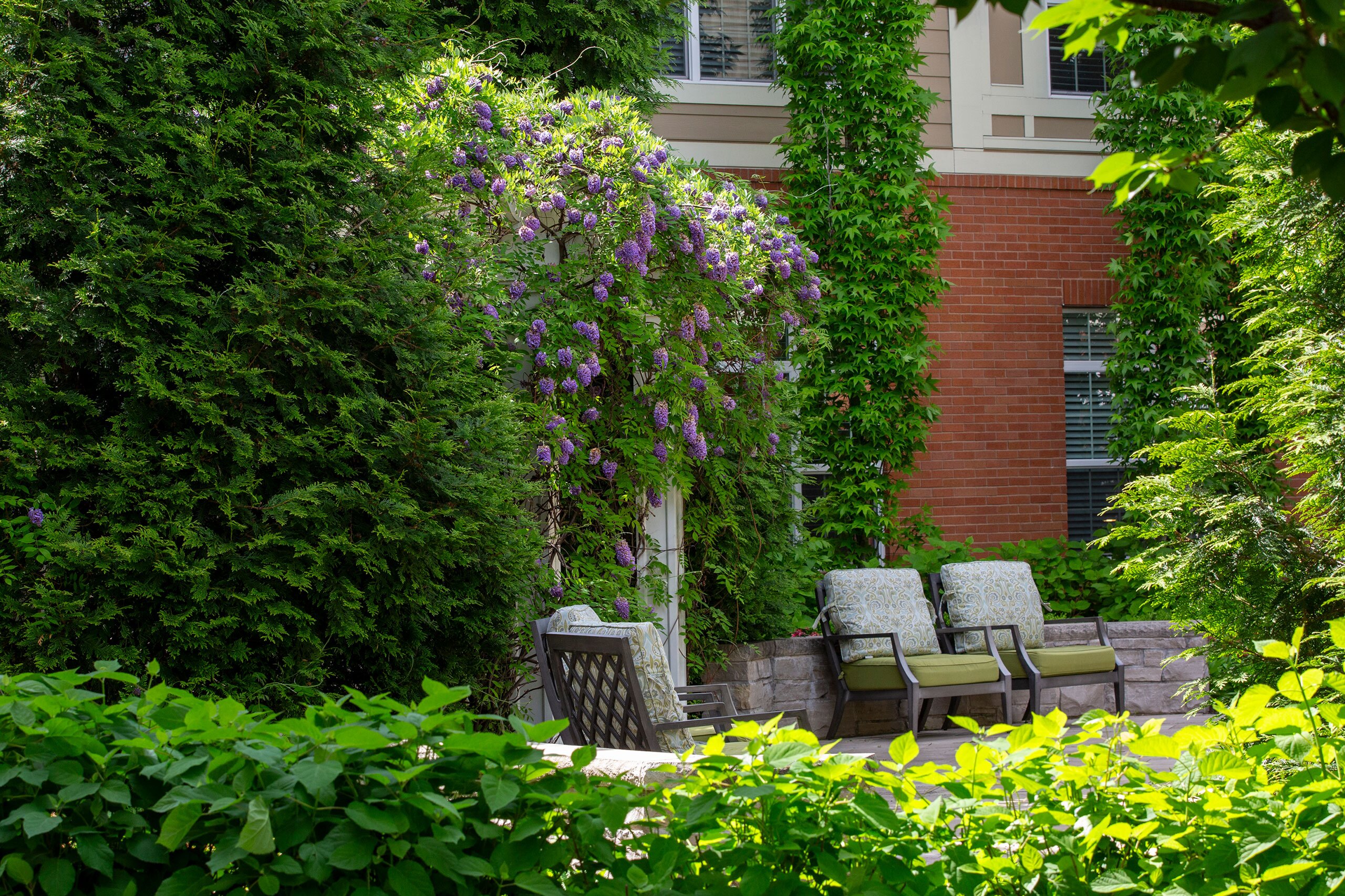 A lush, green outdoor seating area.