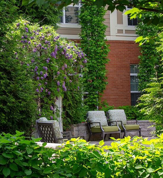 A lush, green outdoor seating area.