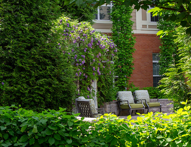 A lush, green outdoor seating area.