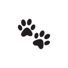 Pet-friendly community